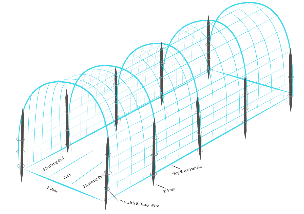 3 Ways to Build a Hog Wire Trellis Modern Farmer