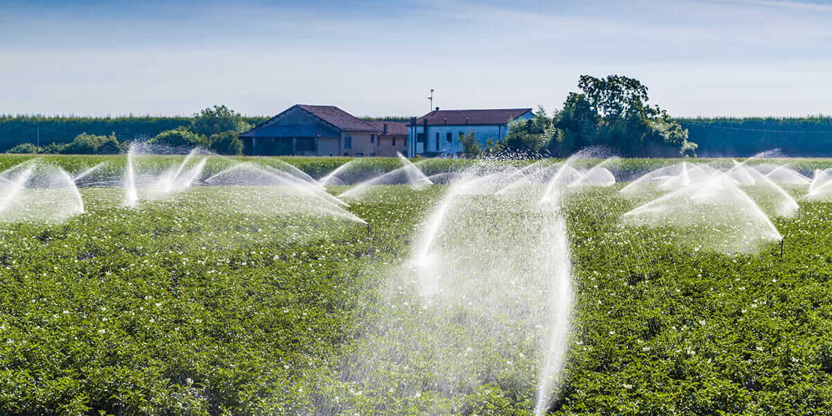 Irrigation 101 Modern Farmer