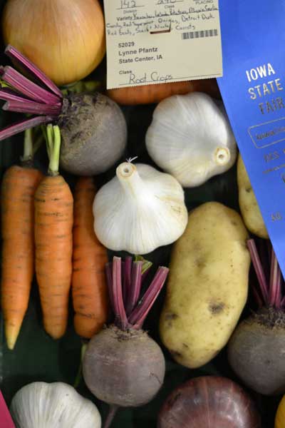 http://modernfarmer.com/wp-content/uploads/2015/08/iowa-state-fair-root-vegetables-detail.jpg