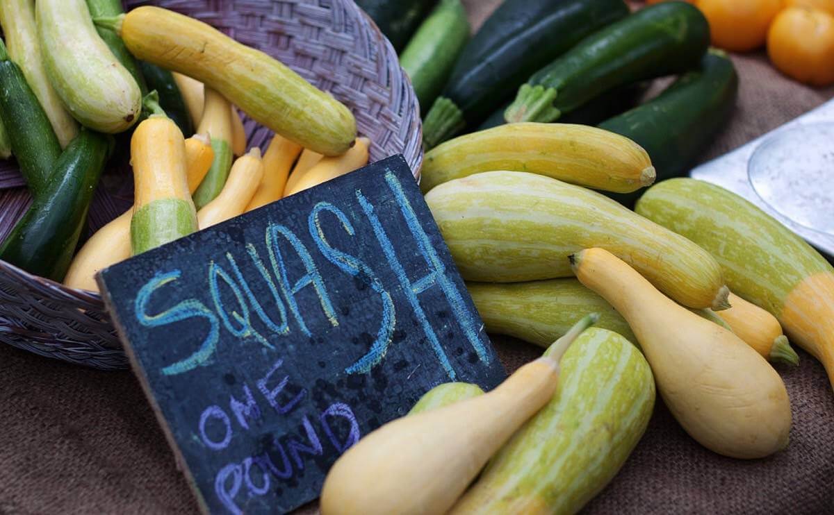 Summer Squash Varieties Chart