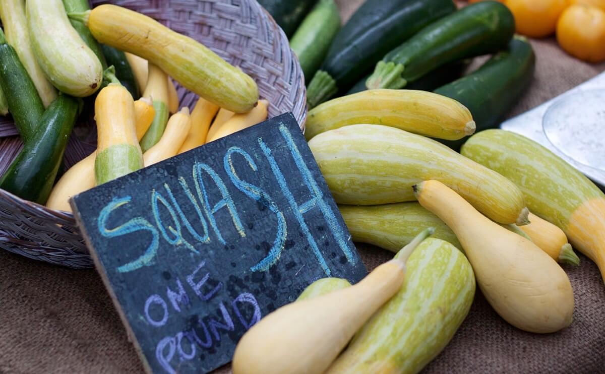 squash types