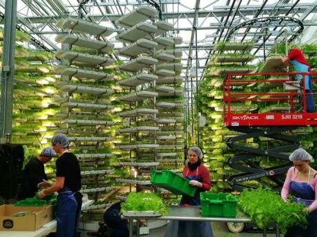 verticrop vertical farming