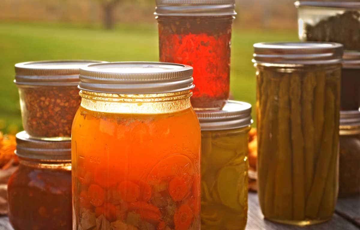Canning 101: A Field Guide to Jars – Food in Jars