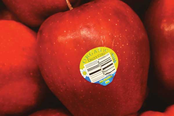 bad-news-organics-apples