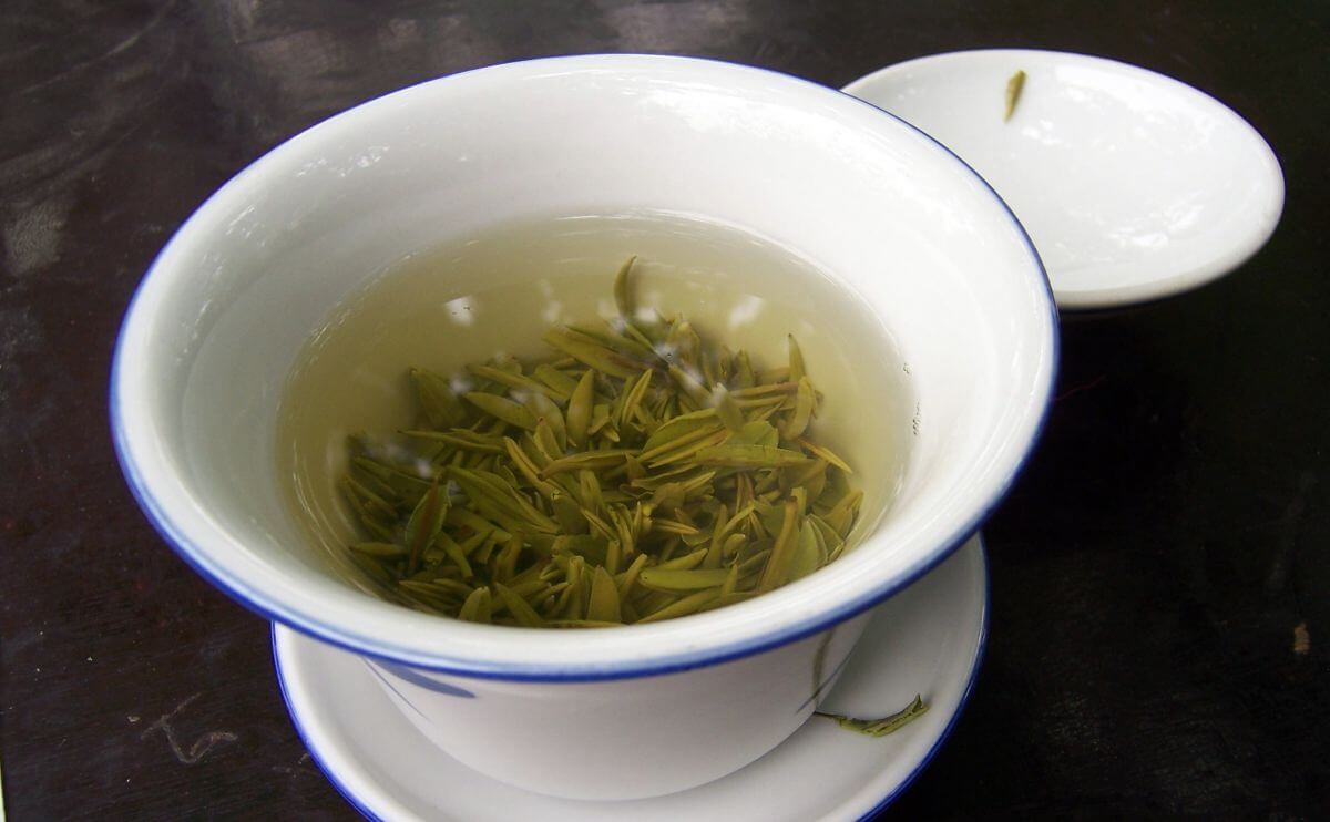 could-too-much-green-tea-actually-be-toxic-modern-farmer