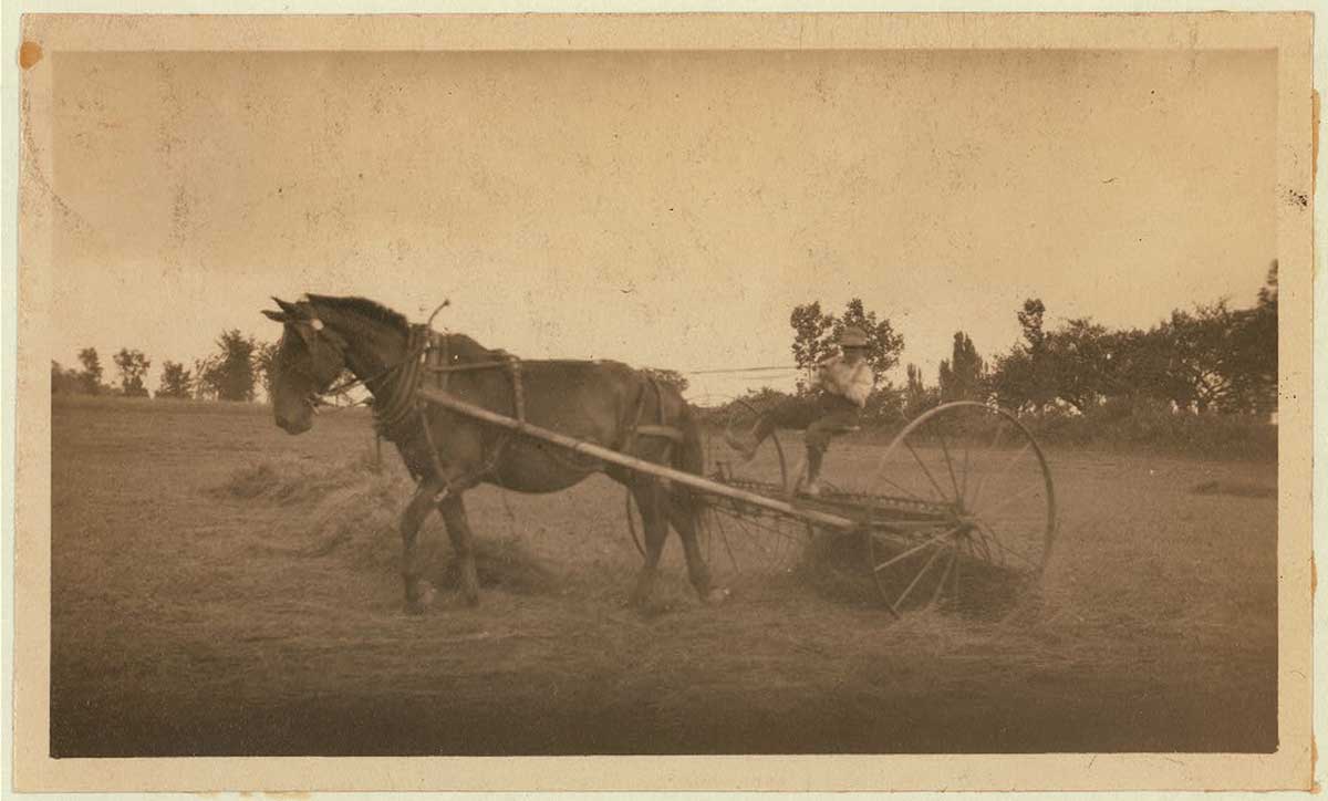 nebraska farmer archives