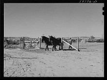 nebraska farmer archives