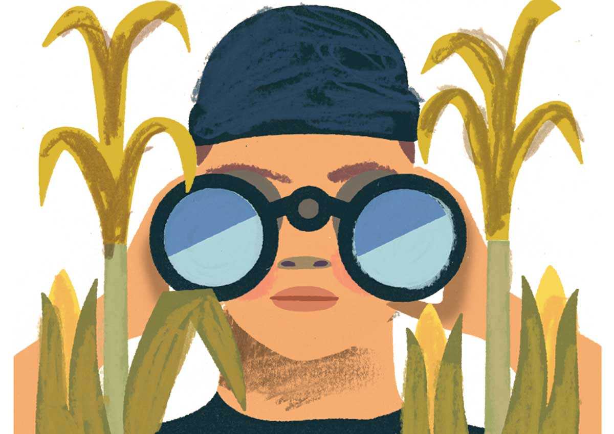farm crime illustration