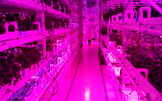 Astronauts and Arugula: Using Space-Station Technology to Grow Food ...