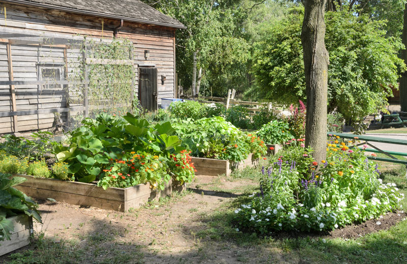 10 Smart Ways To Garden On A Budget, How To Have A Nice Garden On Budget