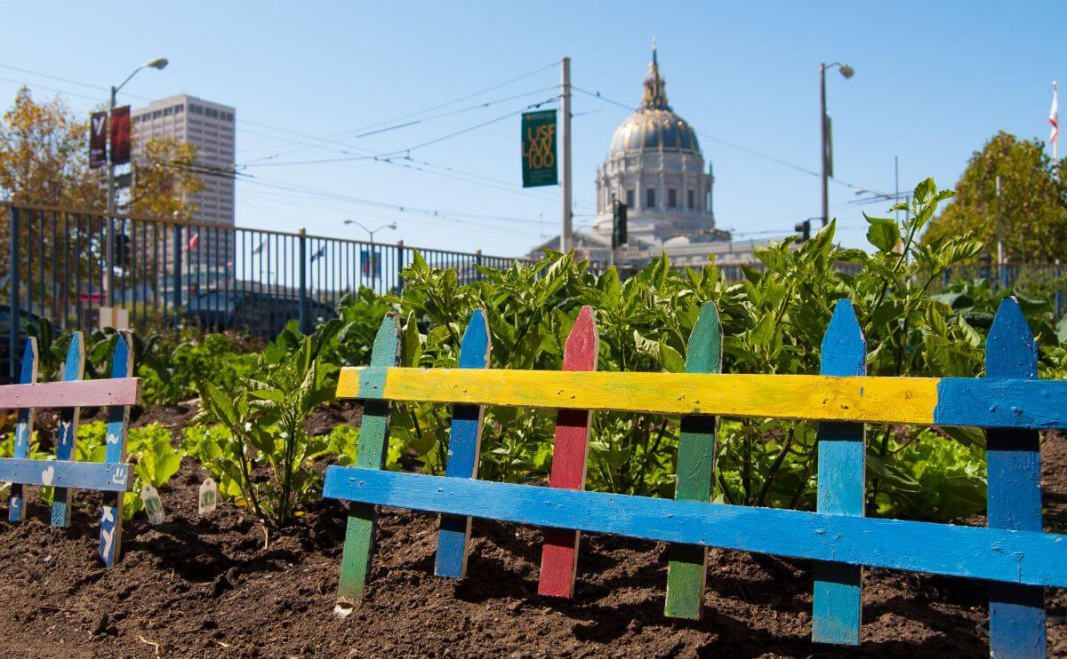 How Safe is it, Really, to Eat Food Grown in an Urban Garden? - Modern