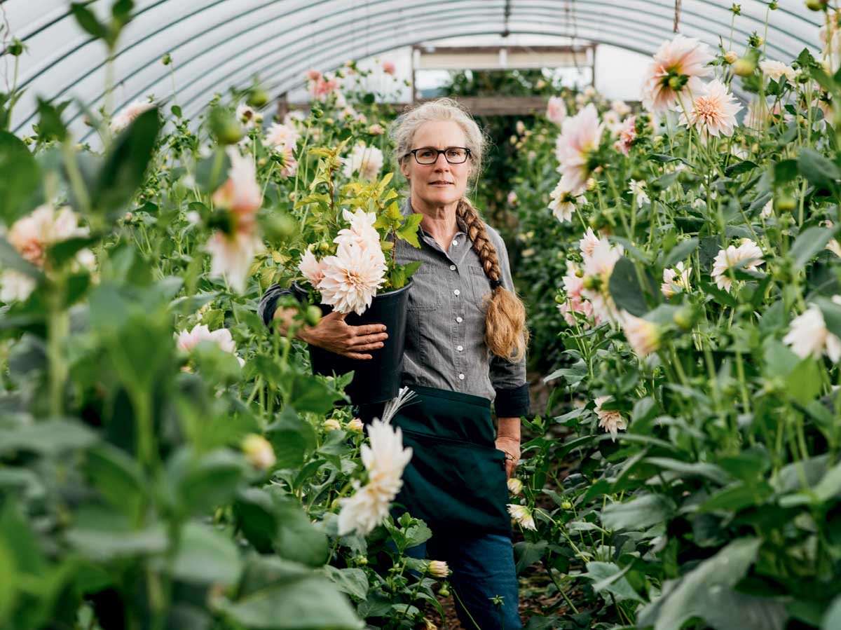 A Flower Farming Renaissance America S