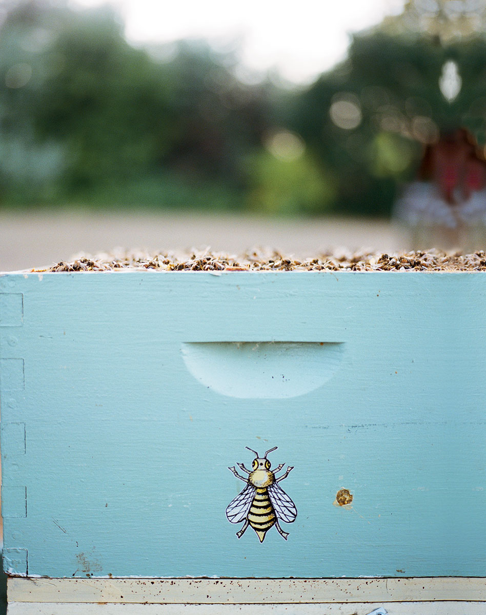 honeybee-sticker