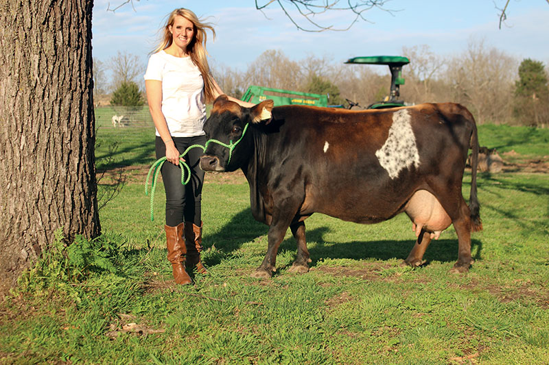 The Many Benefits Of Miniature Cows Modern Farmer