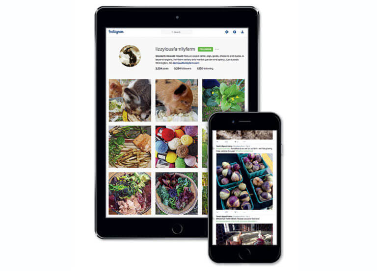 Social Media for Farmers 101 - Modern Farmer