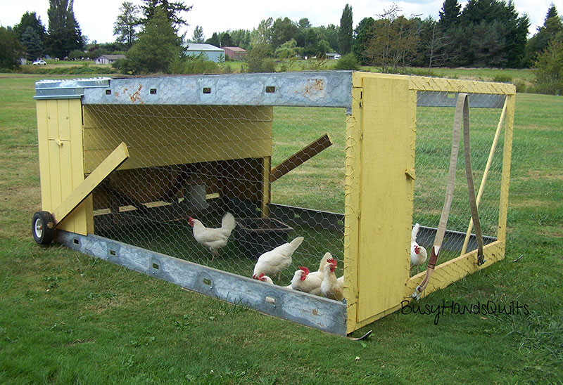 Chicken Tractor 101 What It Is The Basics Of Building One