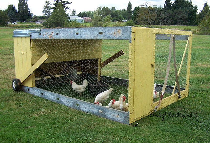 Chicken Tractor 101 What It Is The Basics Of Building One Modern 