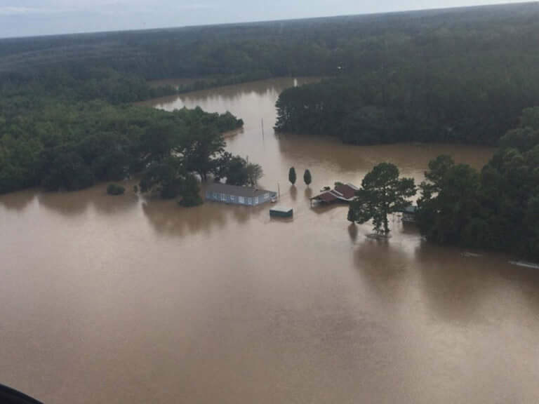 The Louisiana Floods Have Had a Big Impact on Small Farmers - Modern Farmer