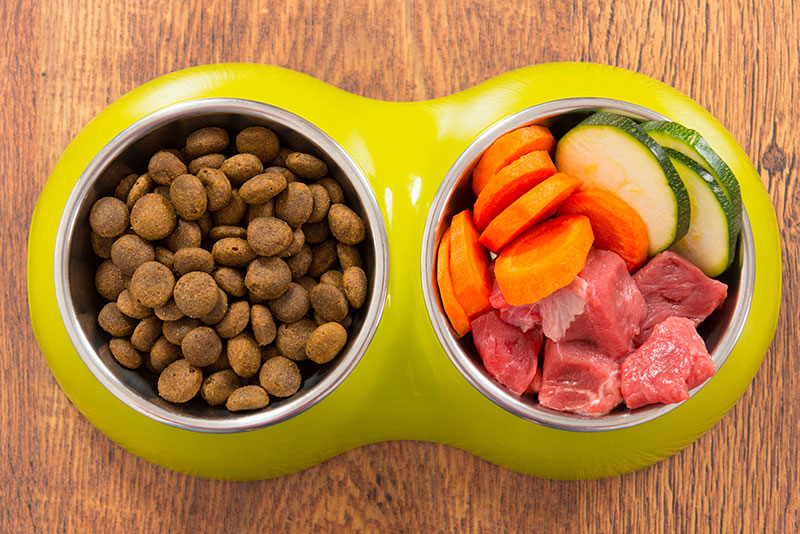 balanced home cooked diet for dogs