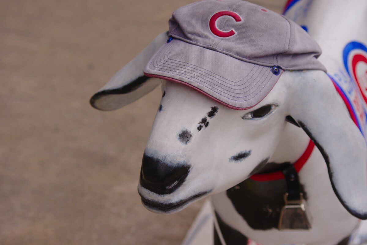 Curses, superstition, and slaughtered billy goats: why the Cubs