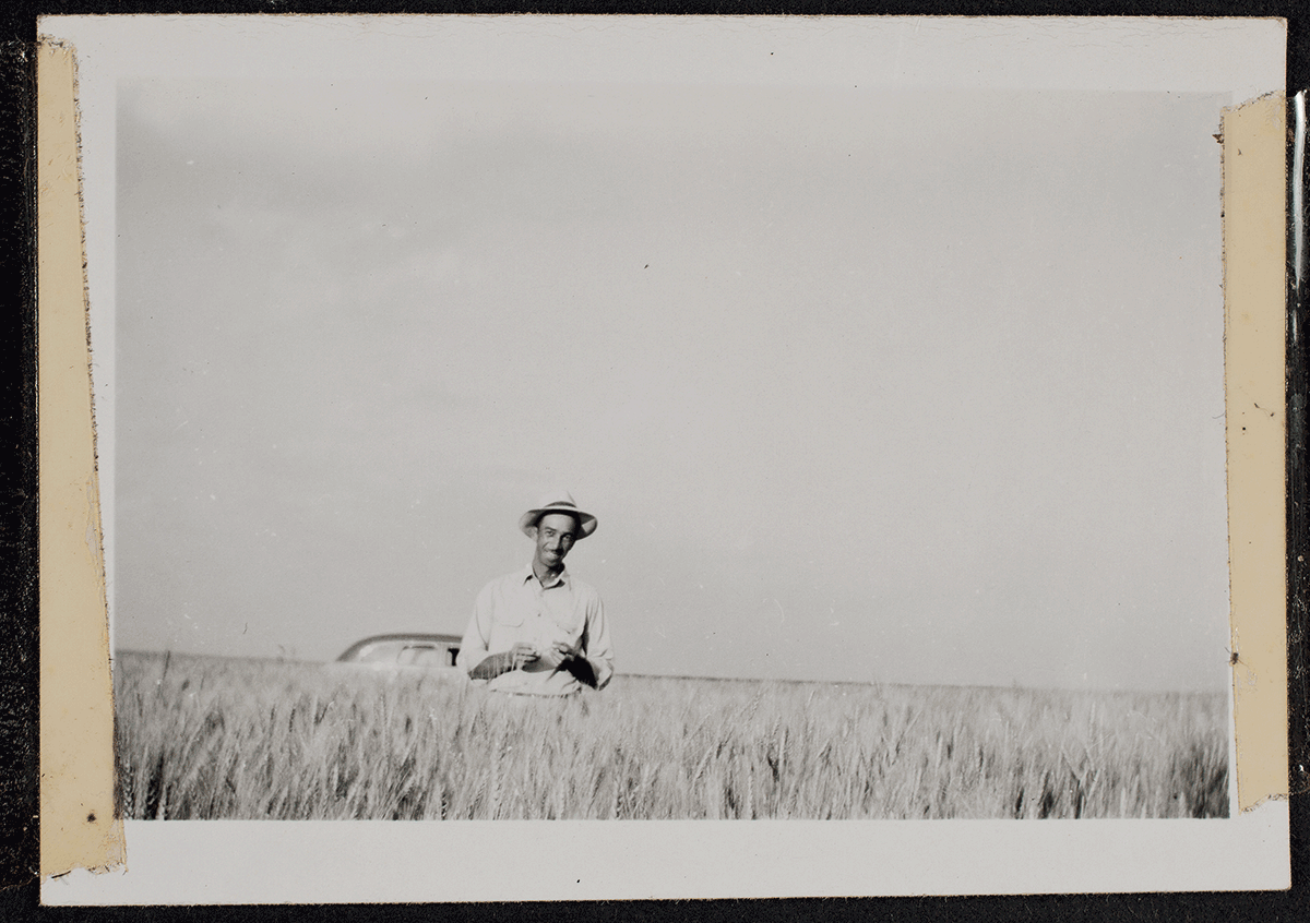 Arthur Warren White surveys one of his Nicodemus wheat fields in the late 1940s or '50s.