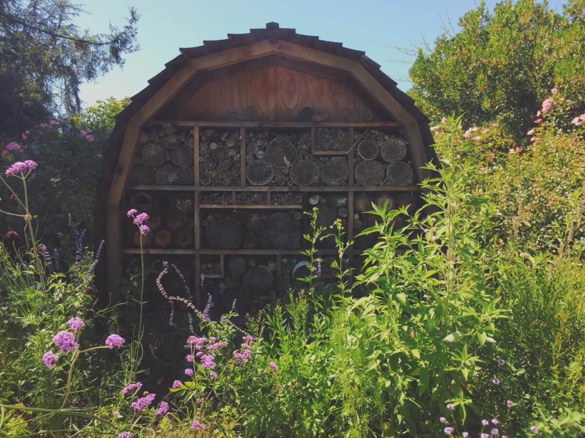 How To Build A Native Bee Hotel - Modern Farmer