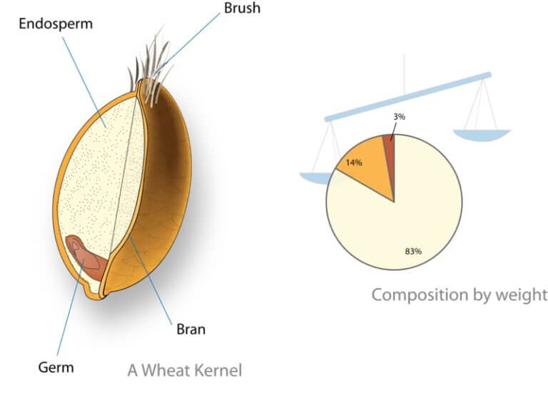 are-we-throwing-away-the-most-nutritious-part-of-rice-modern-farmer