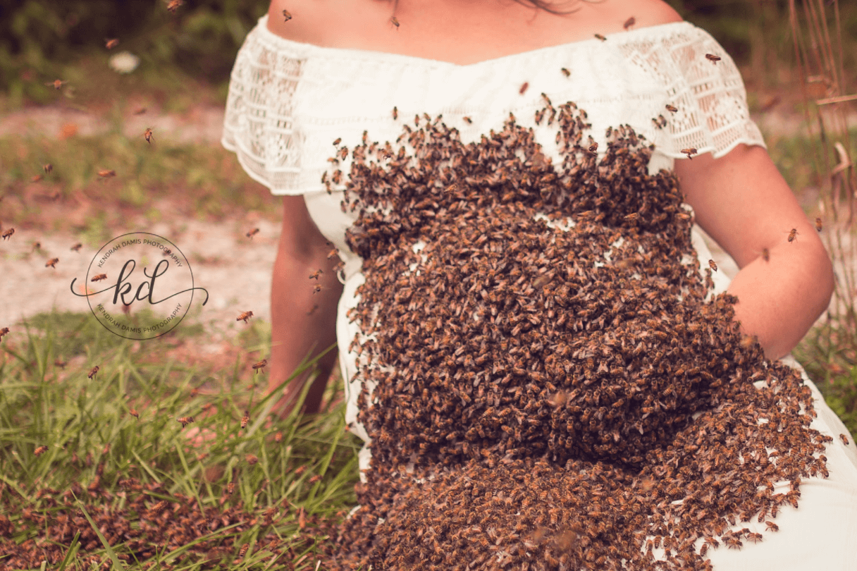 This Woman Sat for Her Pregnancy Photo Shoot With 20,000 Bees - Modern  Farmer