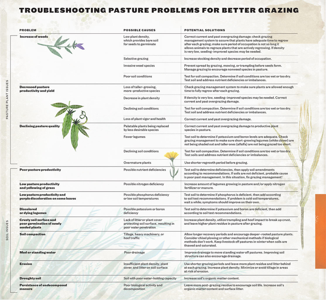 A chart for troubleshooting pasture management from Sarah Flack's book, "The Art and Science of Grazing"