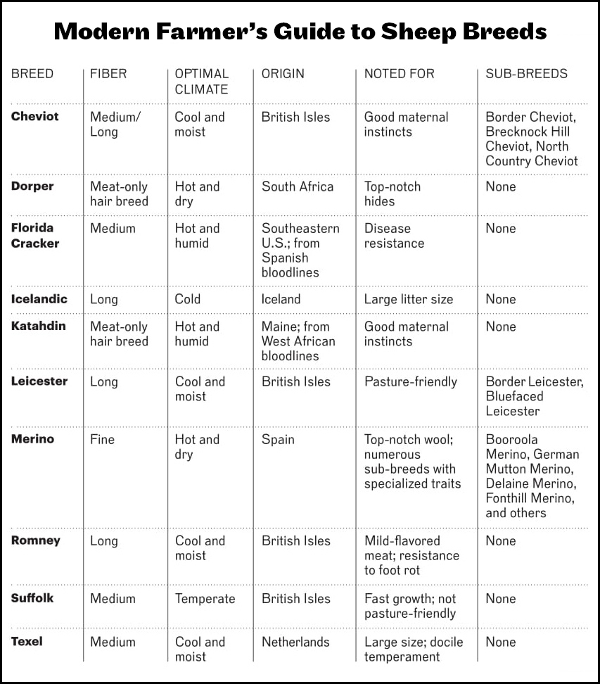 Chart listing sheep breeds and their fiber, climate, origin, traits, and sub-breeds