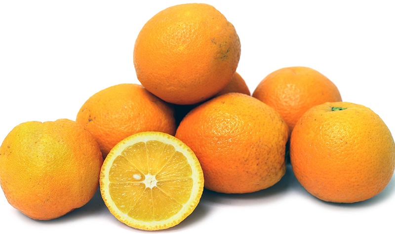 orange varieties - lima oranges