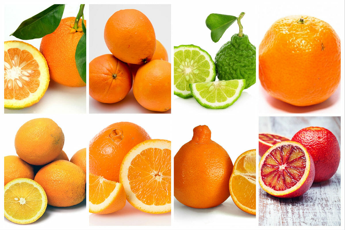 Oranges are one of the best parts of winter. Can you tell the difference between these varieties?