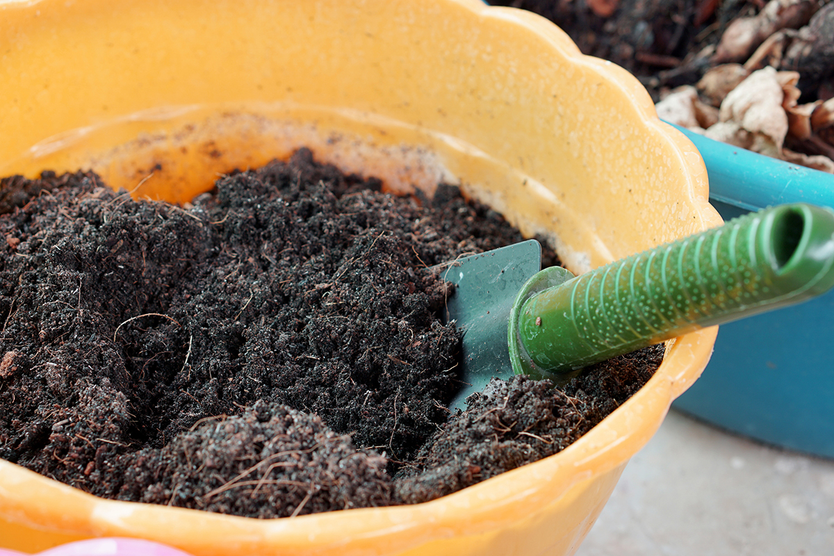 Potting Soil Mix Explained: Ingredients and Labels - Modern Farmer