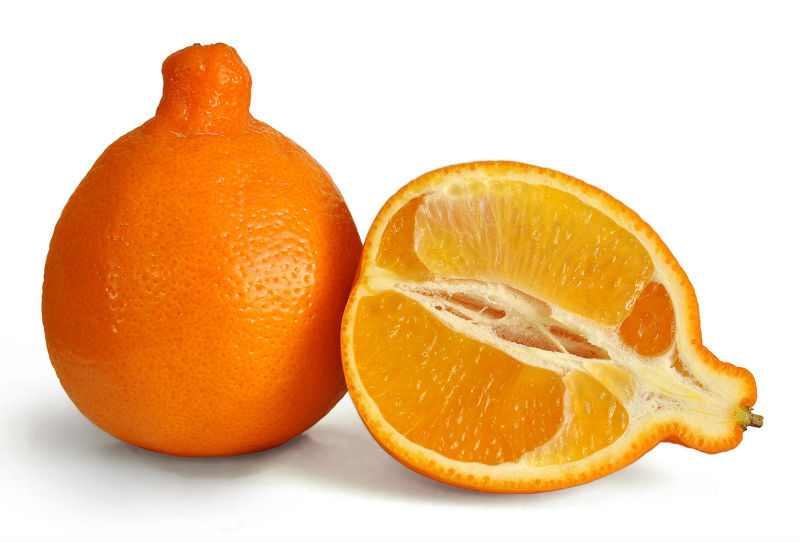 orange varieties - tangelo