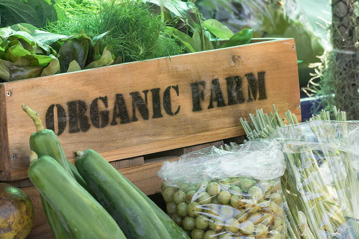 photos of produce in a basket labeled "organic farm" for a story about the difficulties of obtaining and keeping organic certification