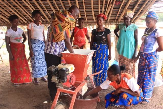 Empowering West African Women Through Sustainable Agriculture - Modern ...