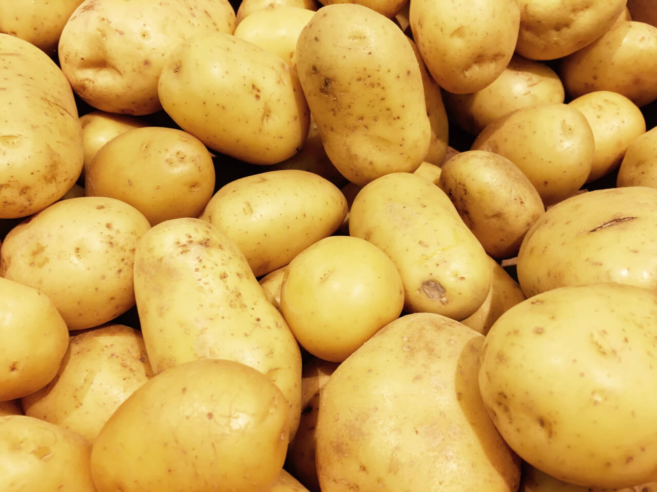 potato-company-simplot-licenses-dowdupont-s-gene-editing-tech-modern