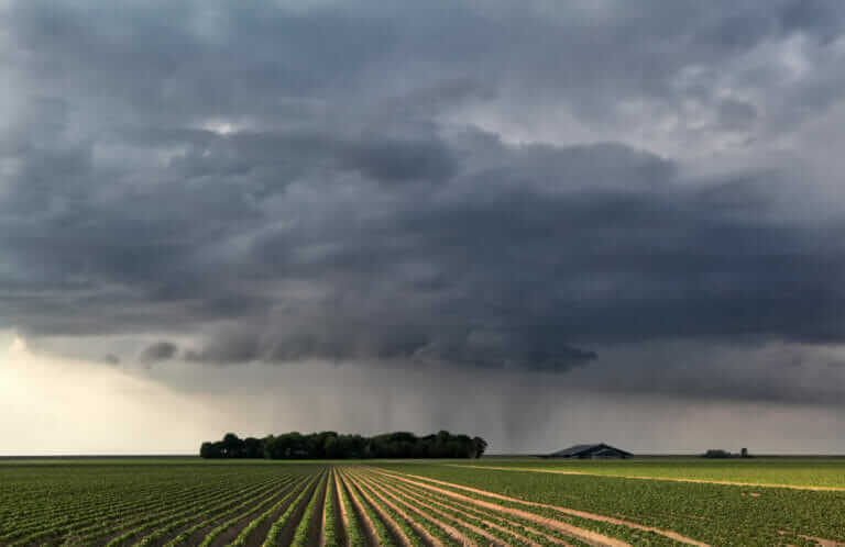 Can Farming Actually Provoke Rain? - Modern Farmer