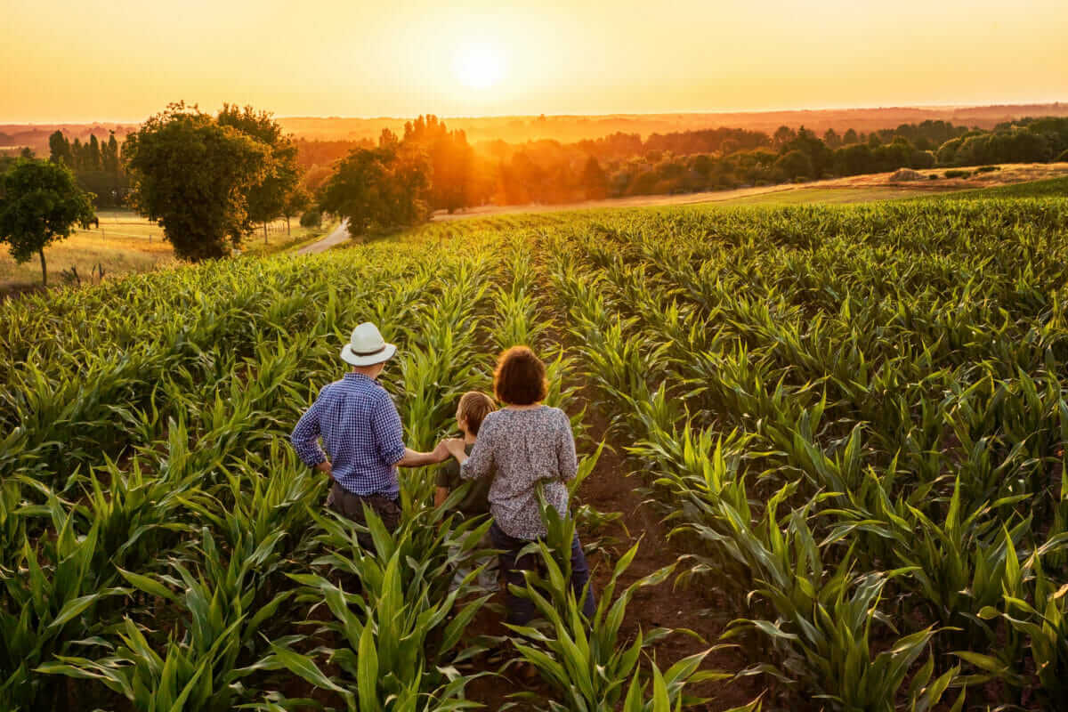 Under The USDA s Definition 90 Percent Of Iowa s Farms Are Family 