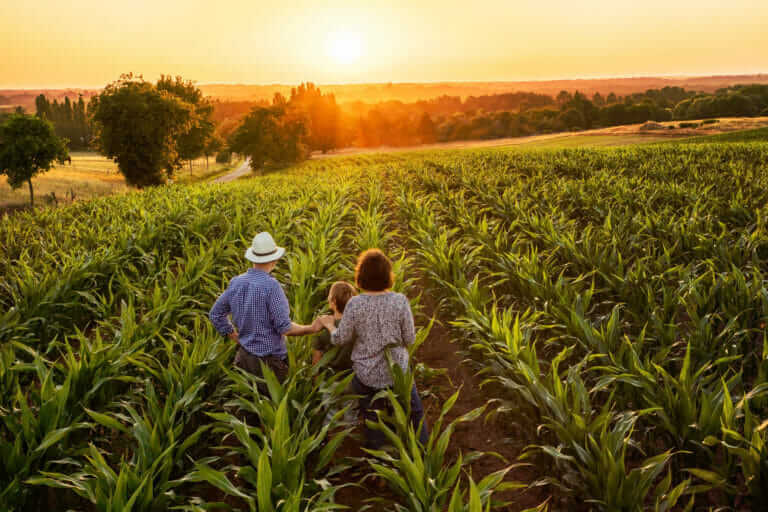 under-the-usda-s-definition-90-percent-of-iowa-s-farms-are-family