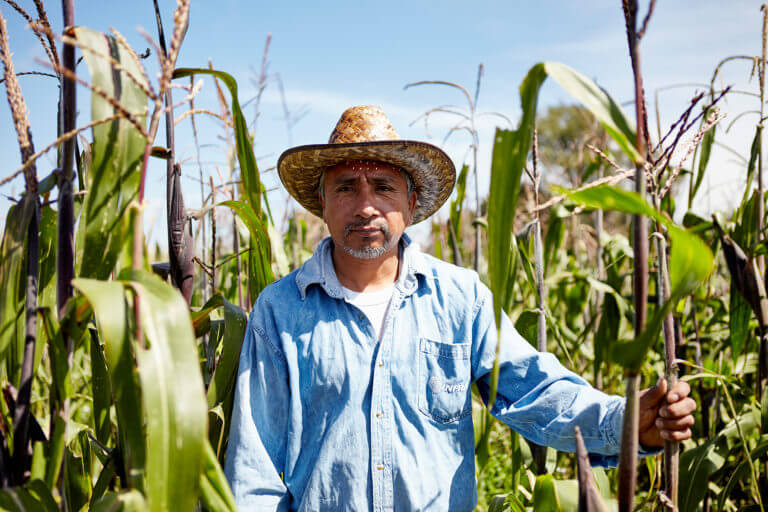 Save the Tortilla - Modern Farmer