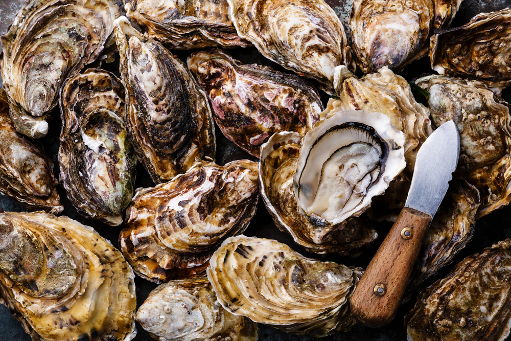 The Gulf Oyster Situation Is Very Bad, But There’s Hope | Modern Farmer