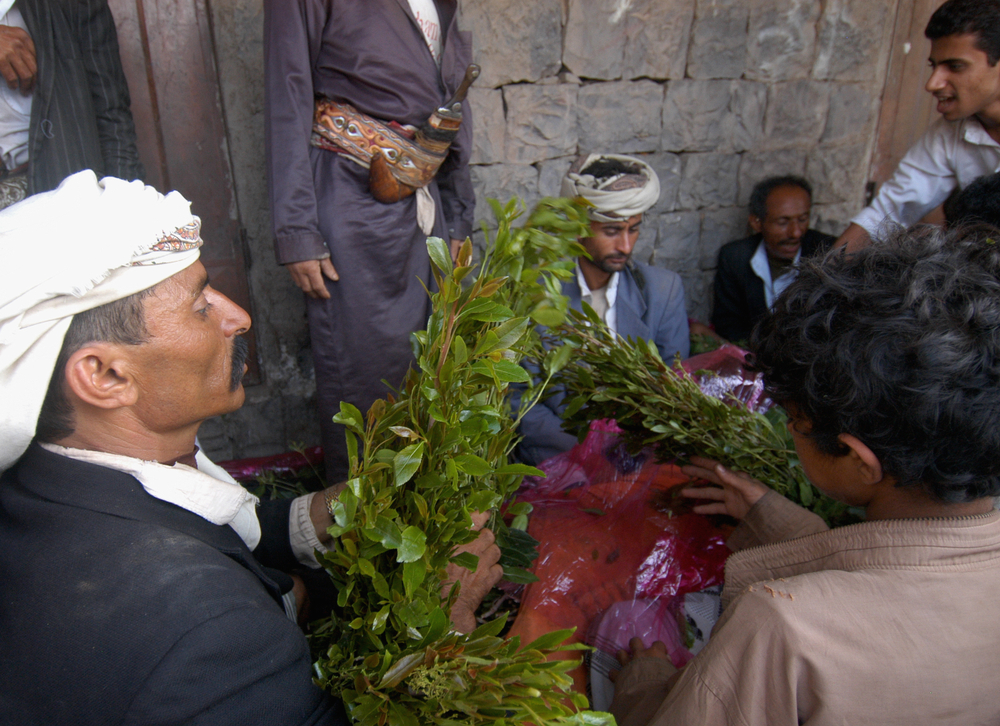 Kenyan Farmers Switch From Food Crops to Khat