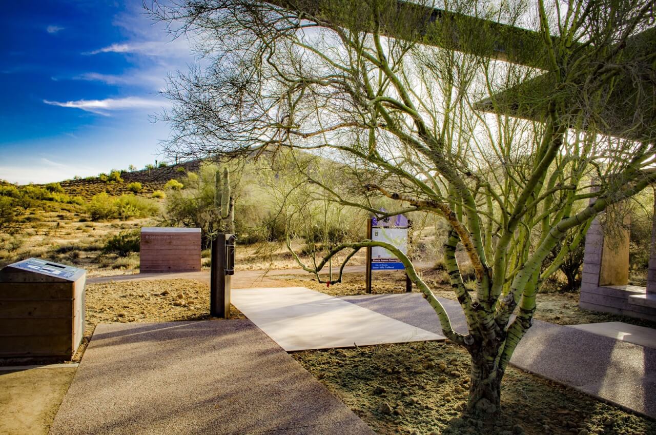 Phoenix Looks to Snuff Out Food Deserts