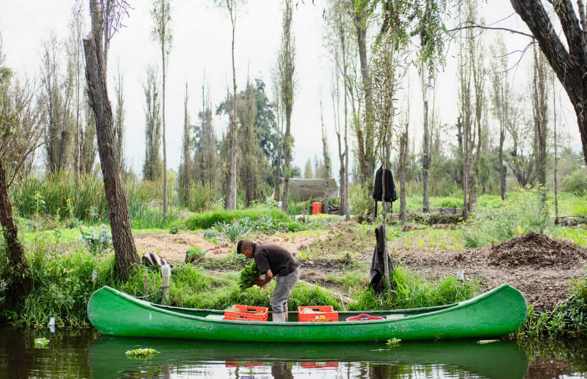 Photo Essay The Last Floating Farms Of Mexico City Modern Farmer