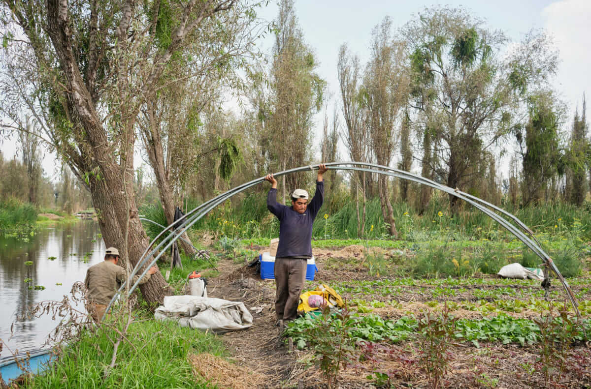 farm photo essay