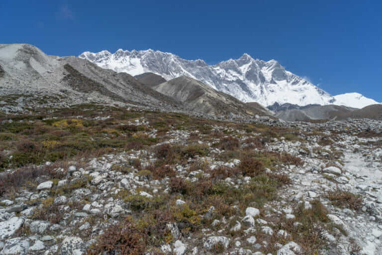 Plant Life Is Spreading Around Everest - Modern Farmer