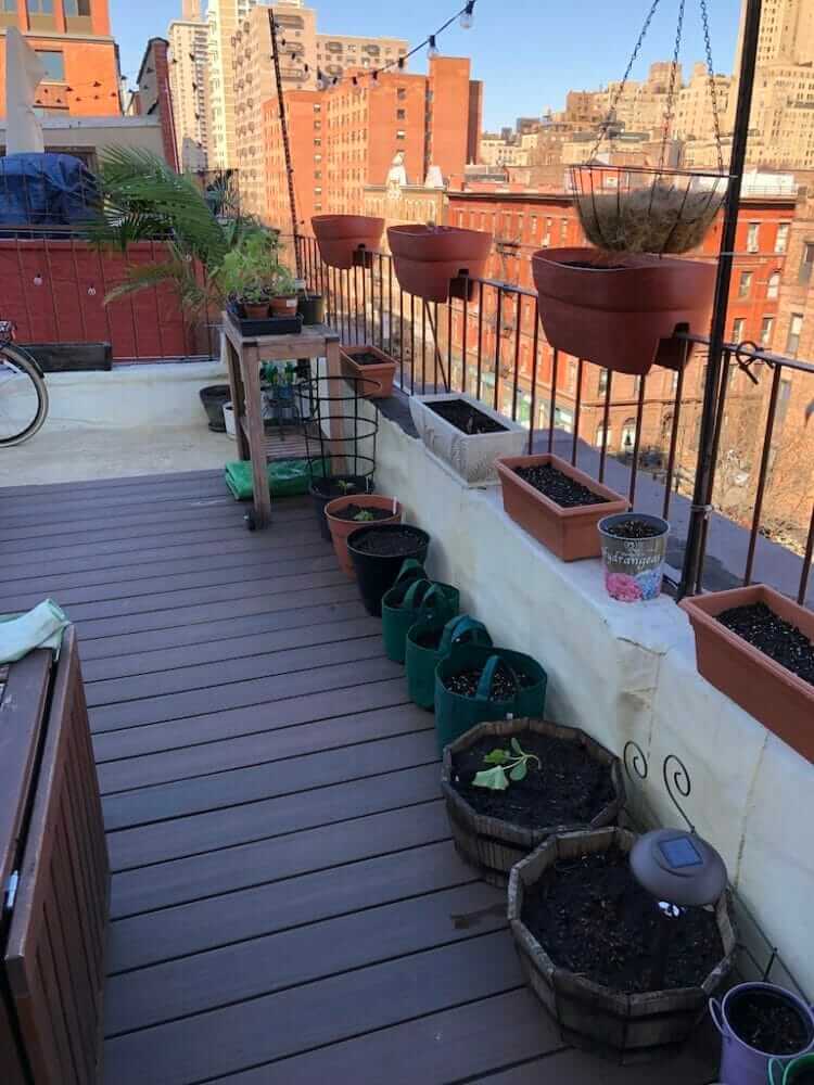 How to Build an Urban Rooftop Garden Modern Farmer