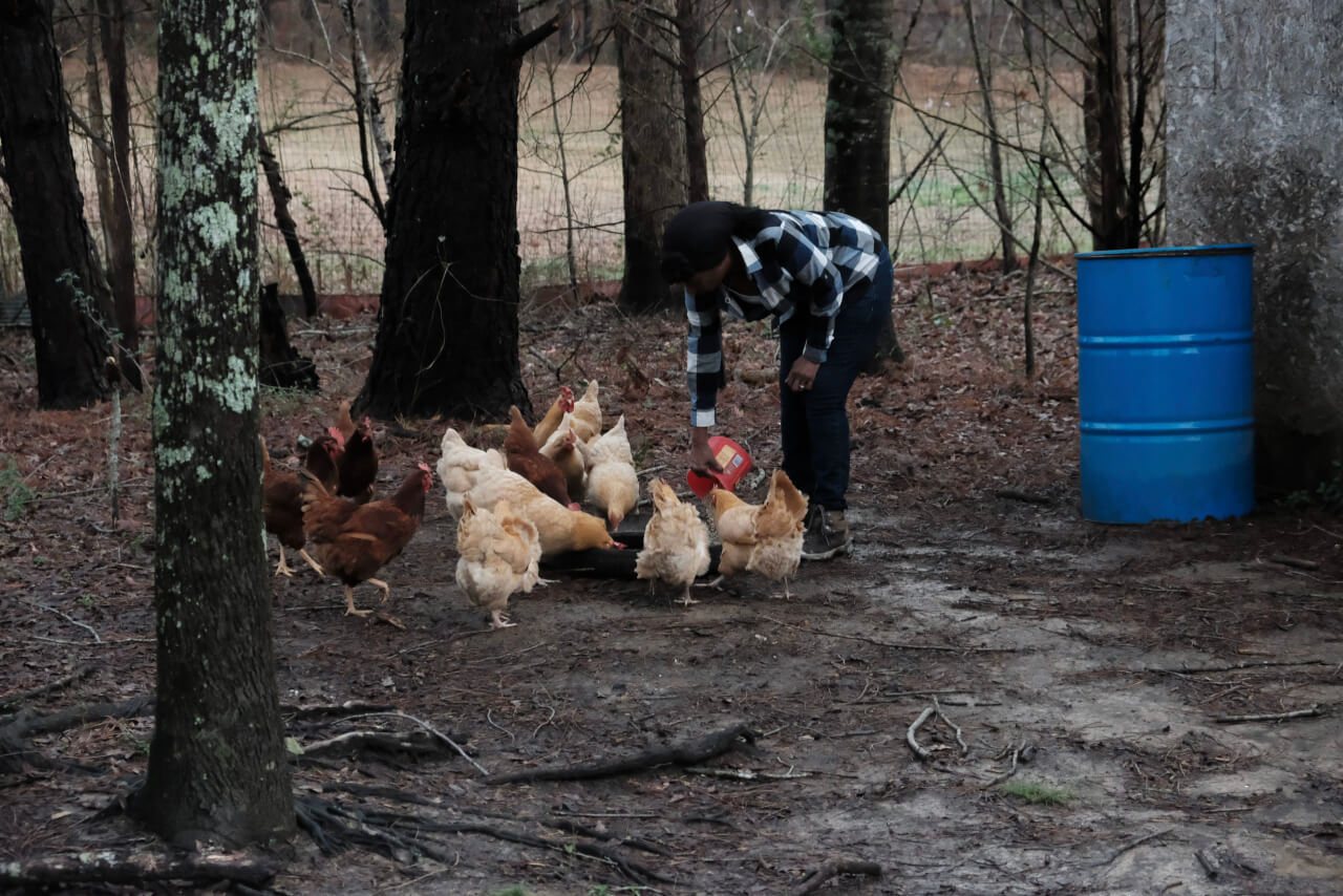 Black Farmers Look to Regain Their Land - Modern Farmer