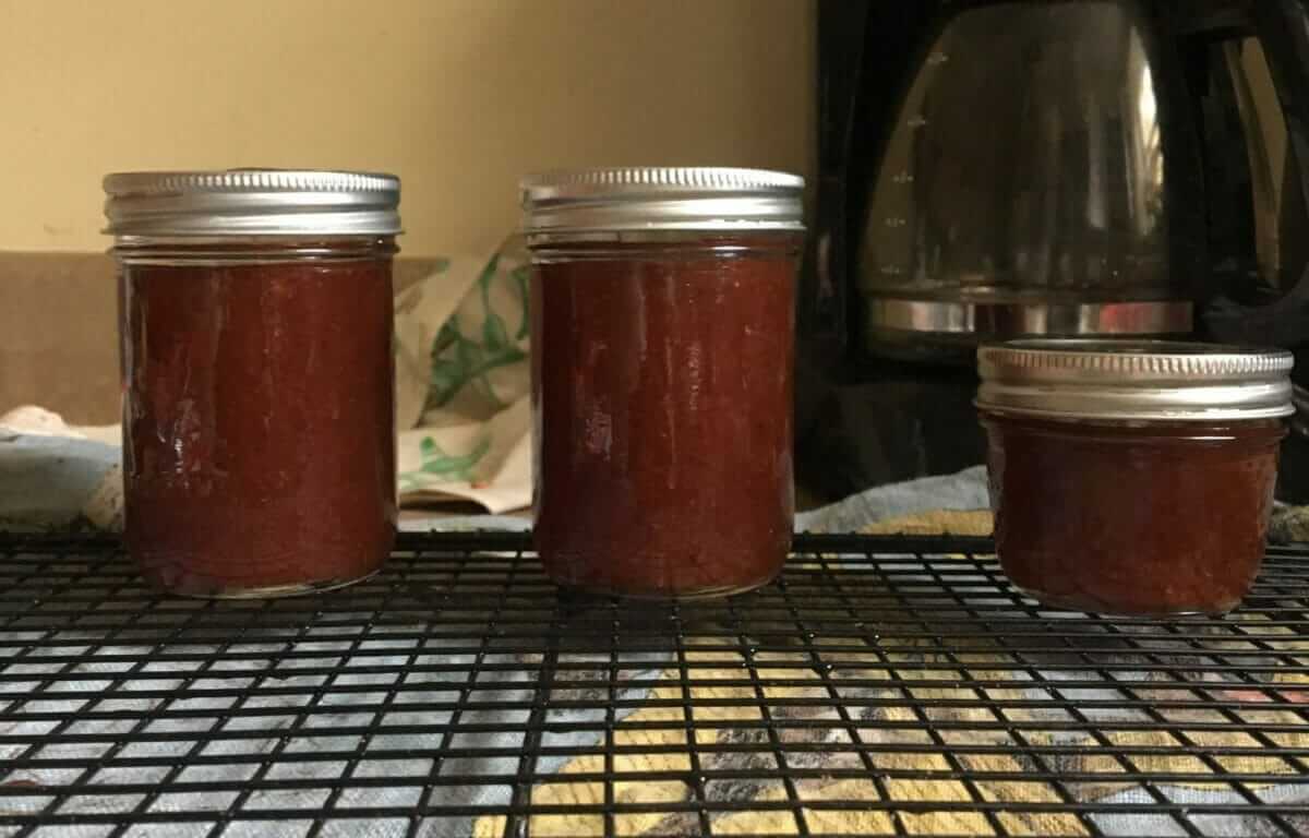 Hawthorn Jelly Recipe - EATWEEDS